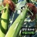 썸네일(스크롤)
