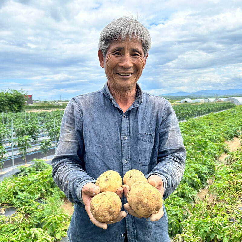 강원더몰,2024년 양양 최해순 농가 햇감자 수미 10kg, 20kg