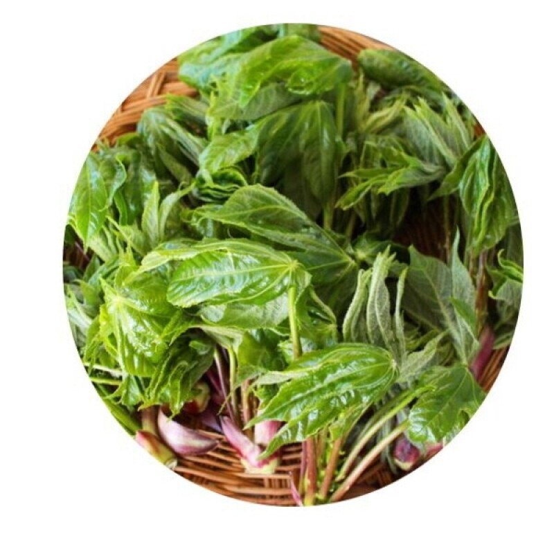 [이길자농가]엄두릅 1kg